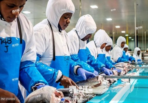 NAFAU Members at work