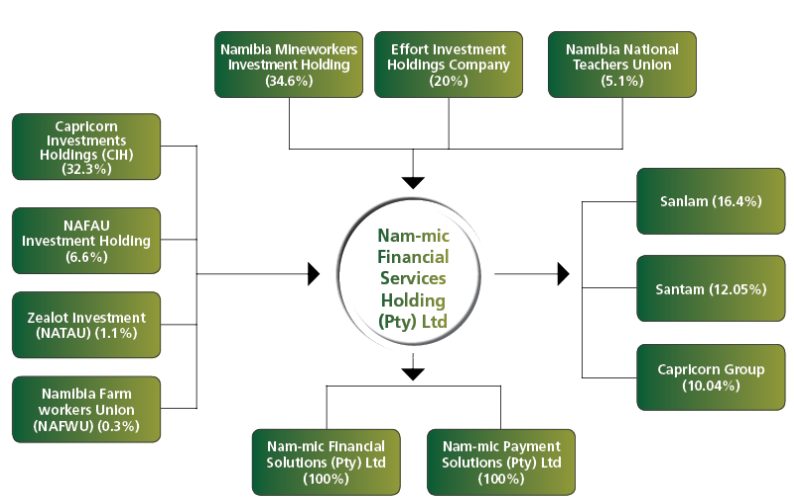 Nam-mic Ownership Structure